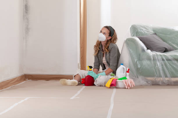 Reliable Basement Mold Removal contractor in Port Tobacco, MD by WQB Mold Removal